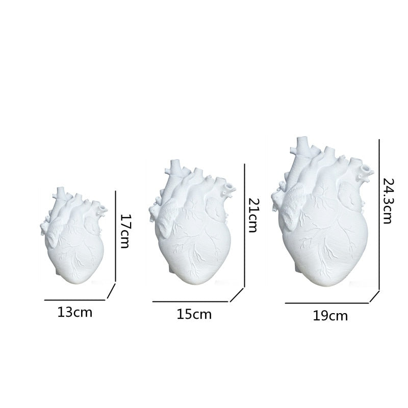 Anatomical Heart-shaped Vase