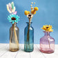 Glass Flower Vase